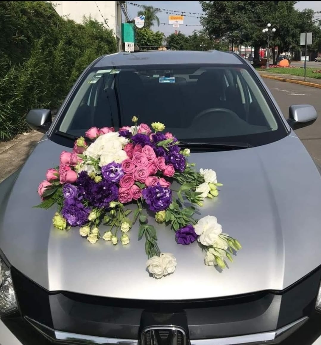 22. Arreglo de Carro