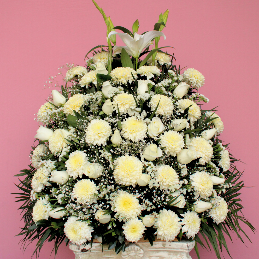 11. Paquete Funeral