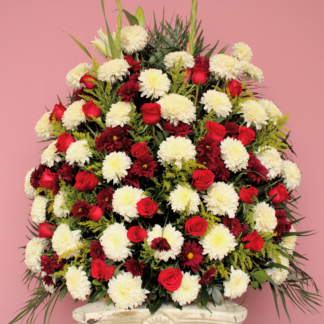 11. Paquete Funeral